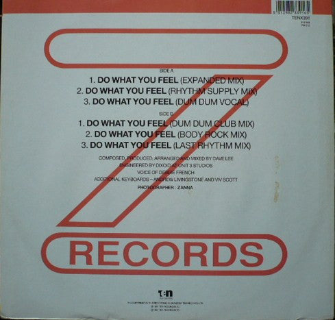 Joey Negro : Do What You Feel (12")