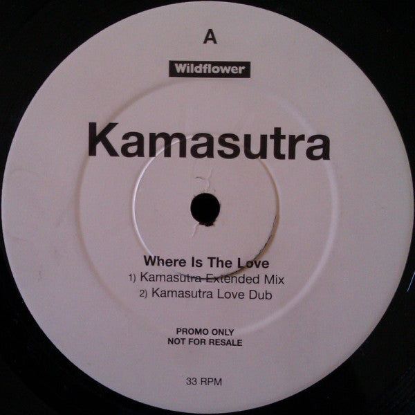 Kamasutra : Where Is The Love (12", Promo)