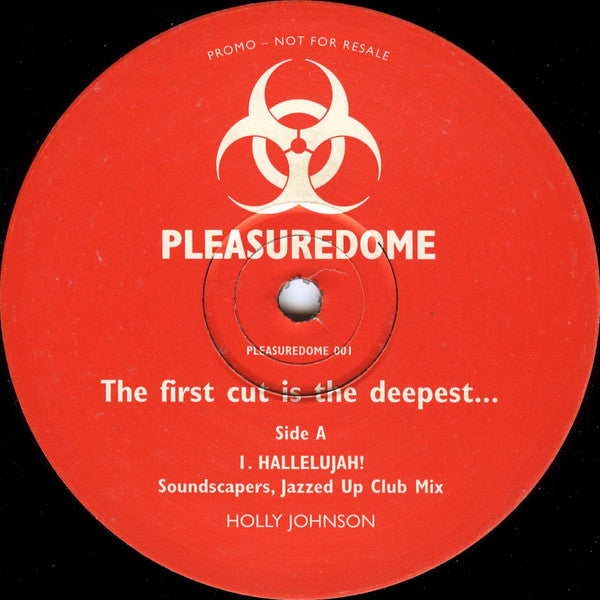Holly Johnson : The First Cut Is The Deepest... (12", Promo)