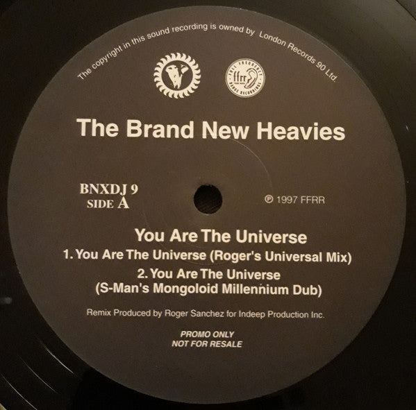 The Brand New Heavies : You Are The Universe (12", Promo)