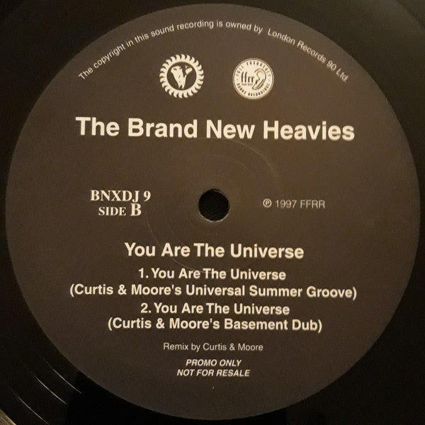 The Brand New Heavies : You Are The Universe (12", Promo)