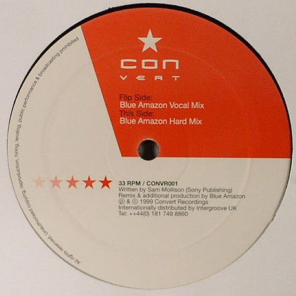 Sam Mollison : Will You Love Me In The Morning (12")