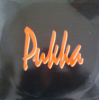 Circuit (4) : Shelter Me (2x12", Promo)