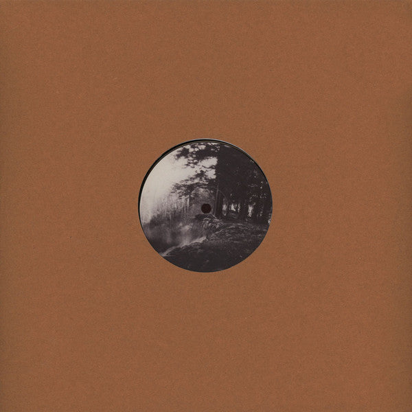 White Visitation (2) : Blank Slate 013 (12")