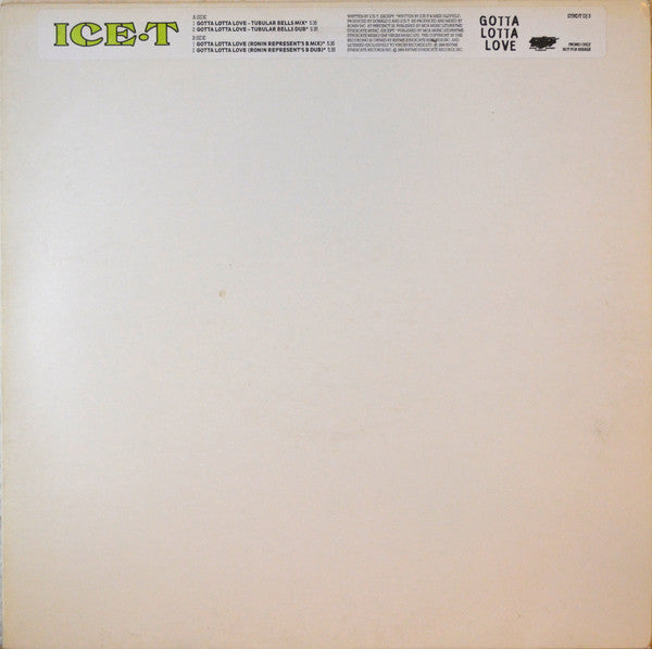 Ice-T : Gotta Lotta Love (12", Promo)