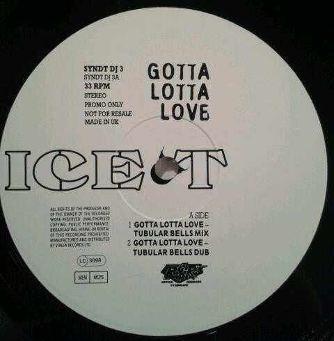 Ice-T : Gotta Lotta Love (12", Promo)