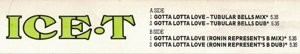 Ice-T : Gotta Lotta Love (12", Promo)
