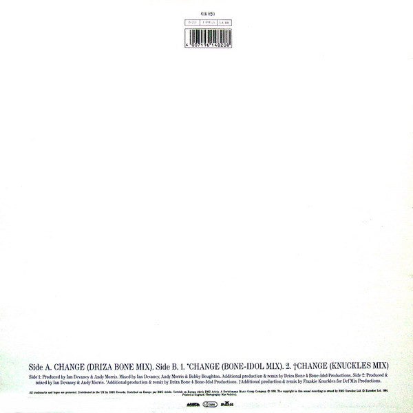 Lisa Stansfield : Change (12", Single)