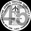 The James Taylor Quartet Featuring Cleveland Watkiss : It Doesn't Matter (12", Promo)
