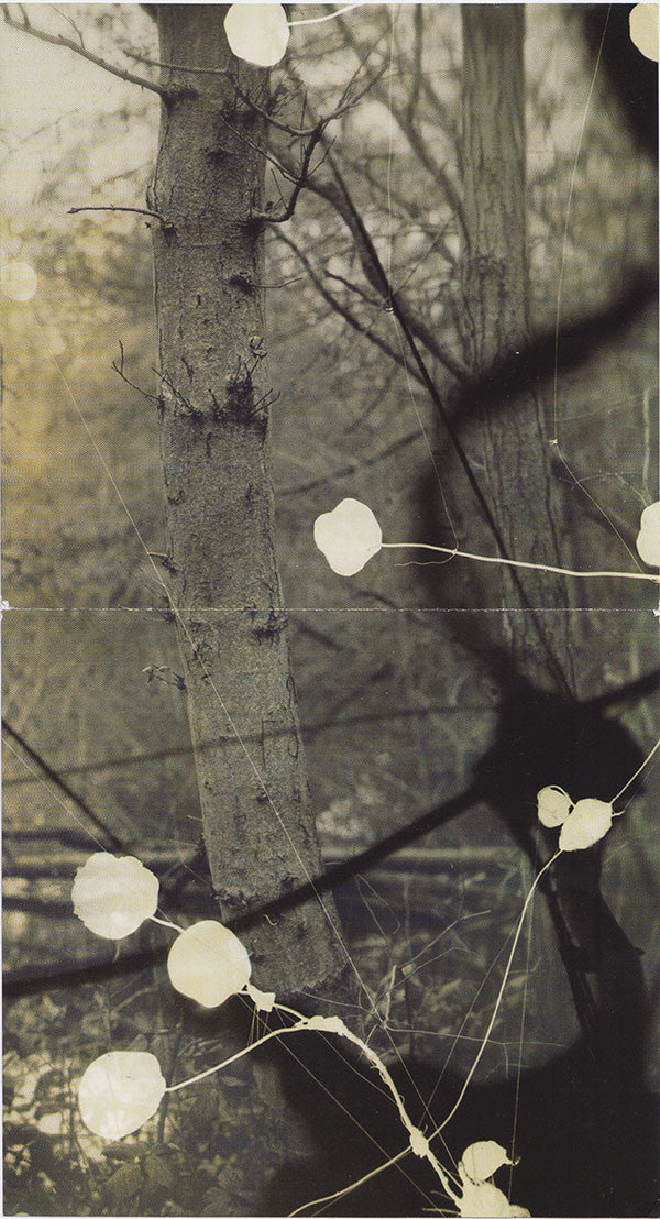 Ellen Allien : Fabric 34 (CD, Mixed)