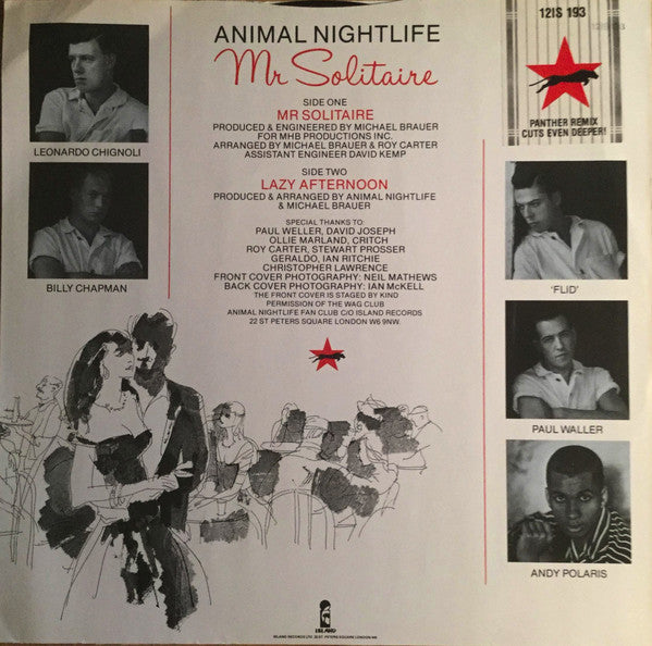 Animal Nightlife : Mr Solitaire (Panther Remix) (12", Single)