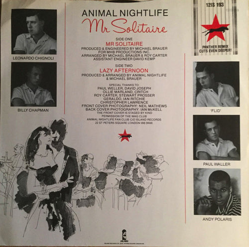 Animal Nightlife : Mr Solitaire (Panther Remix) (12", Single)