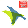 Damien J. Carter : What World (12")