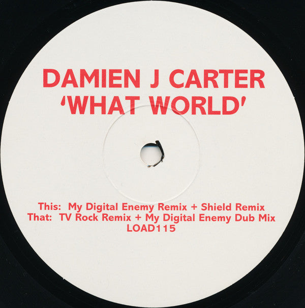 Damien J. Carter : What World (12")