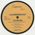 A Number of Names – Sharevari (12") (Mint (M))