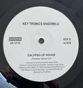 Soft House Company / Key Tronics Ensemble – What You Need / A Little Piano / Calypso Of House (12") (Mint (M))