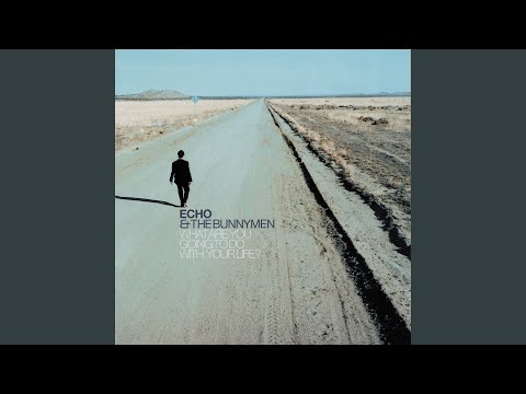 Echo & The Bunnymen - What Are You Going To Do With Your Life? (LP) (Neuf (M))