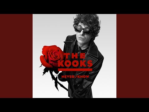 The Kooks - Never/Know (LP) (Mint (M))