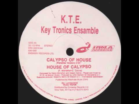 Soft House Company / Key Tronics Ensemble – What You Need / A Little Piano / Calypso Of House (12") (Mint (M))