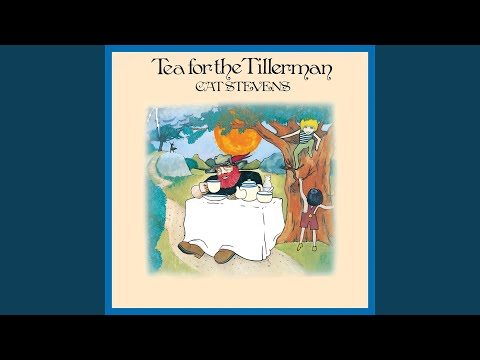 Cat Stevens - Tea For The Tillerman (LP) (Very Good (VG))