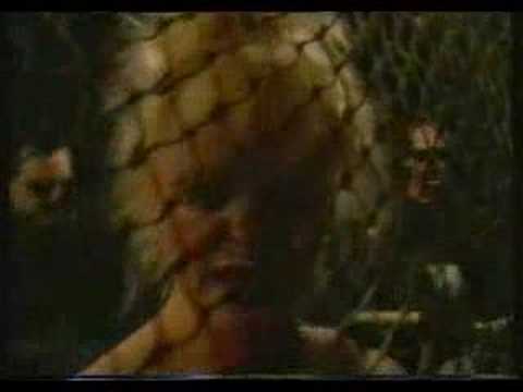 Erotic Dissidents - Shake Your Hips (12") (Comme neuf (M))