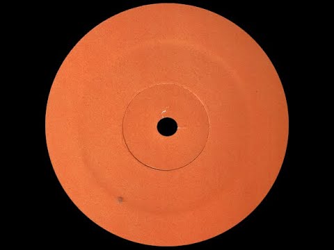 P.M. Dawn – A Watcher's Point Of View (Todd Terry Mix) (12") (Very Good (VG))
